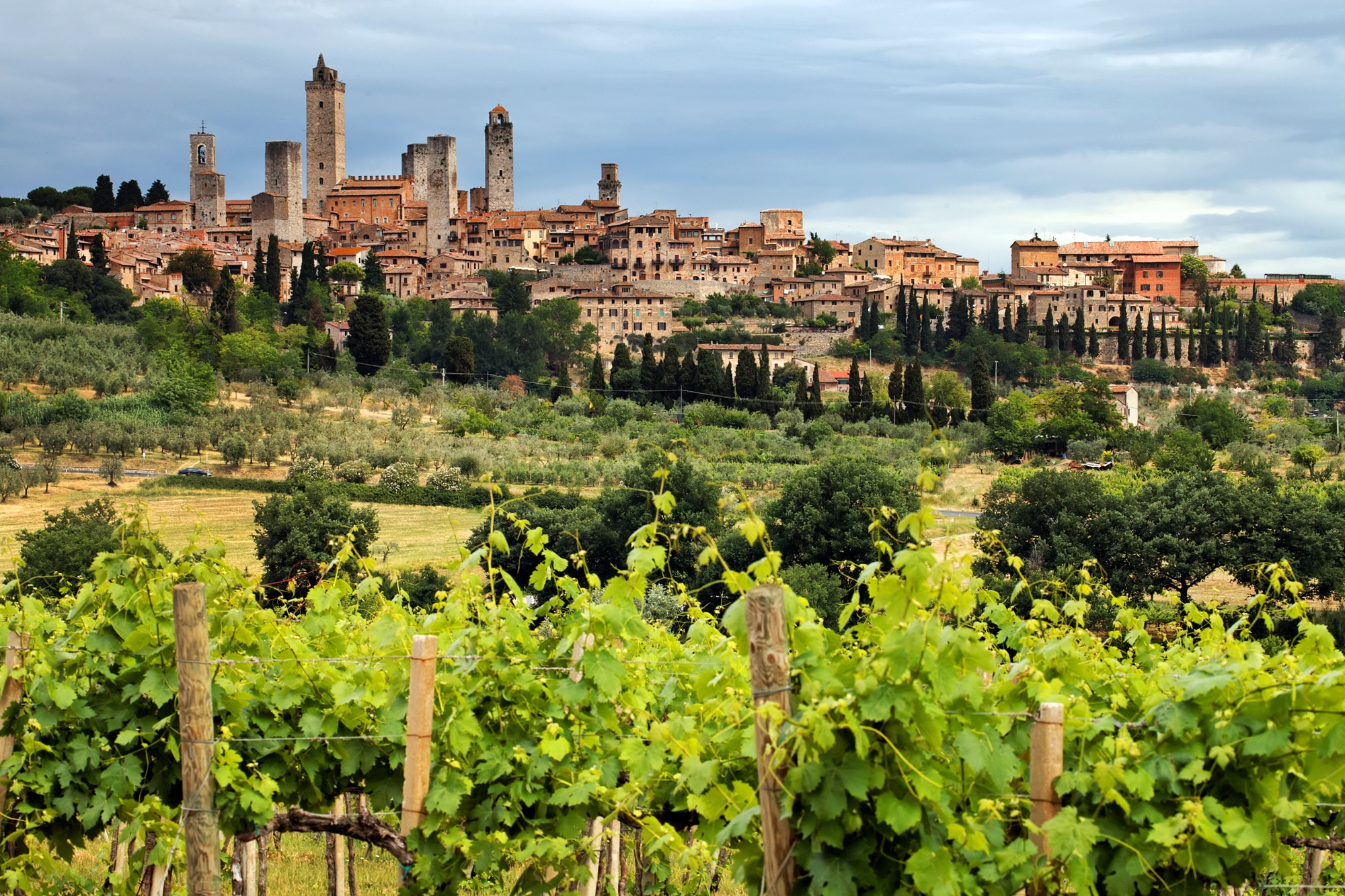 Tour de un día para descubrir algunos hermosos pueblos toscanos, incluido San Gimignano