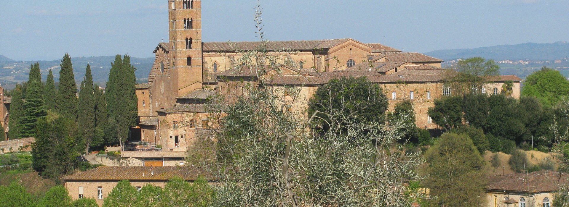 colline e valli verdi Siena