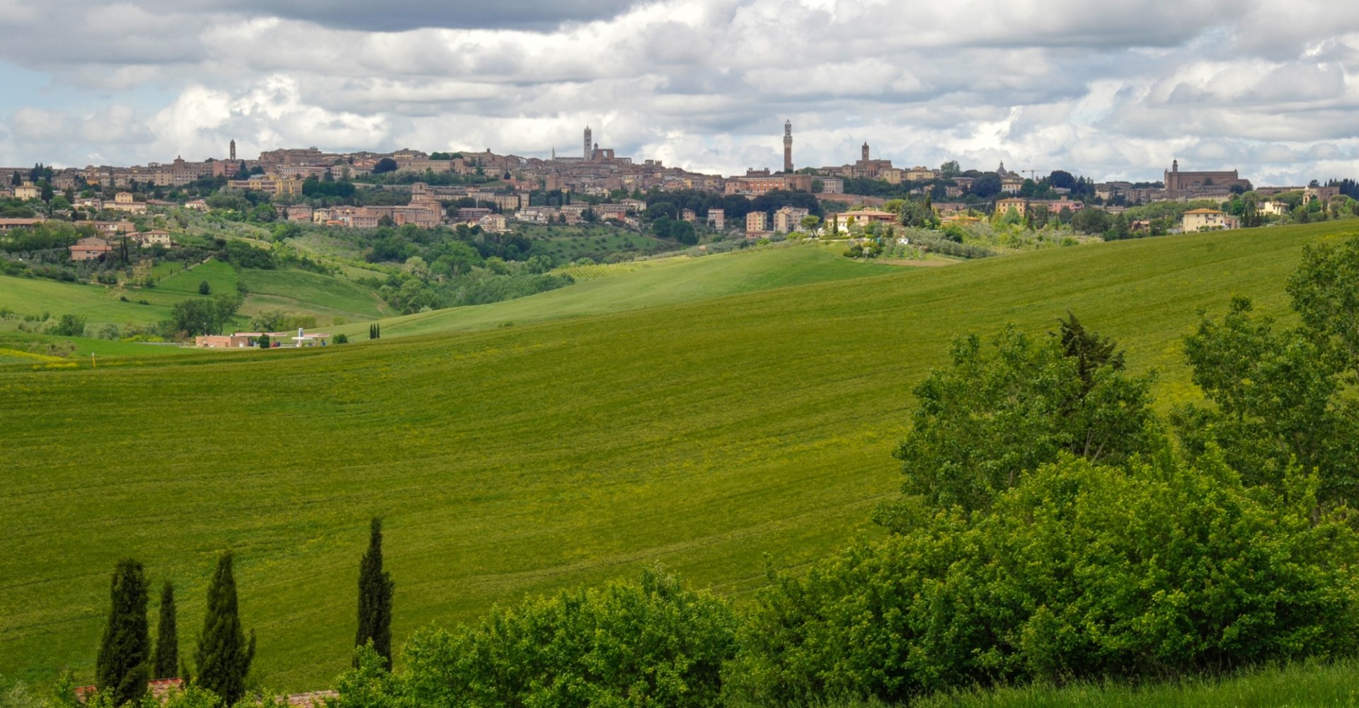 Siena von Süden