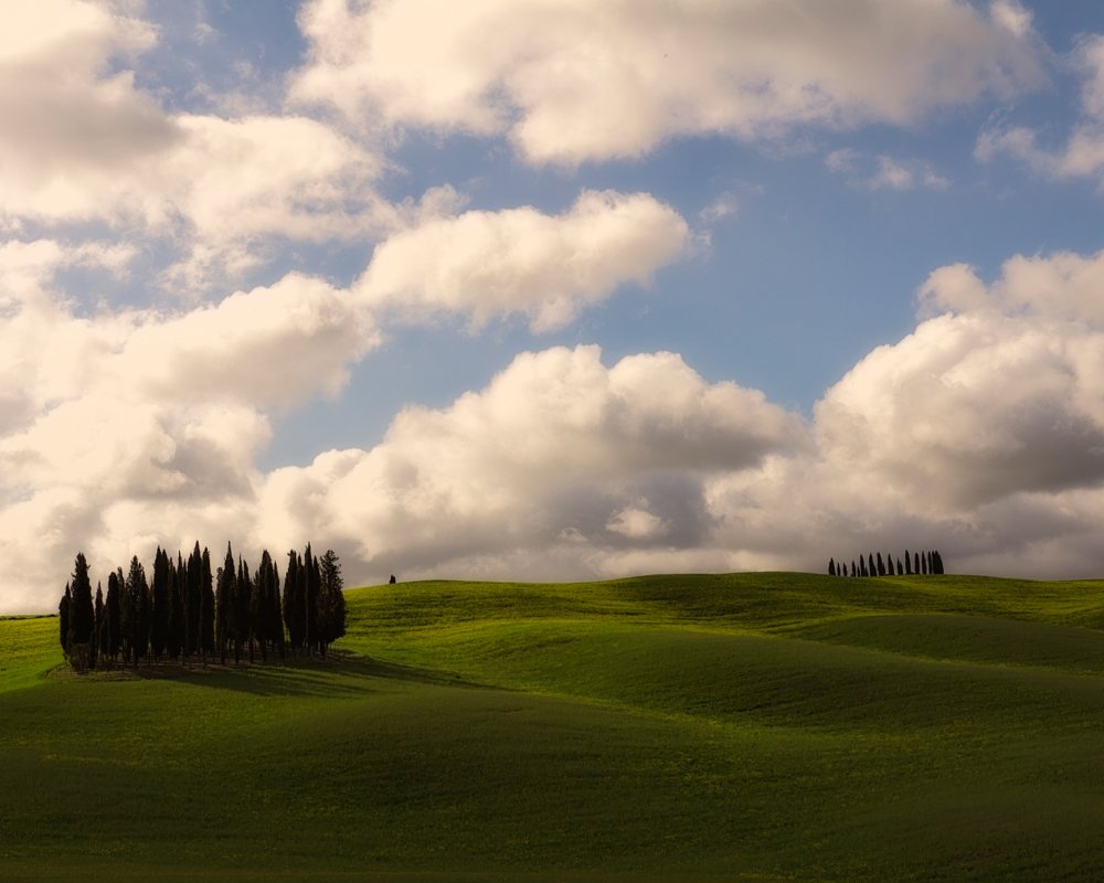 Symboles de san Quirico - cyprès