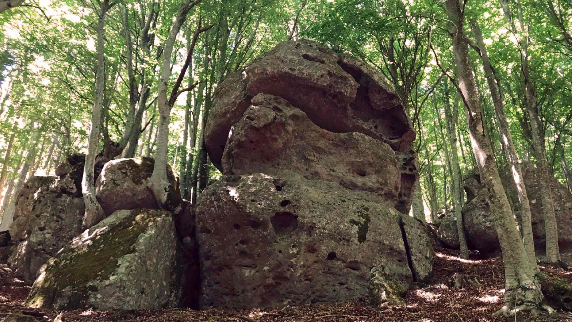 Due giorni a spasso nei colori autunnali delle faggete del Monte Amiata