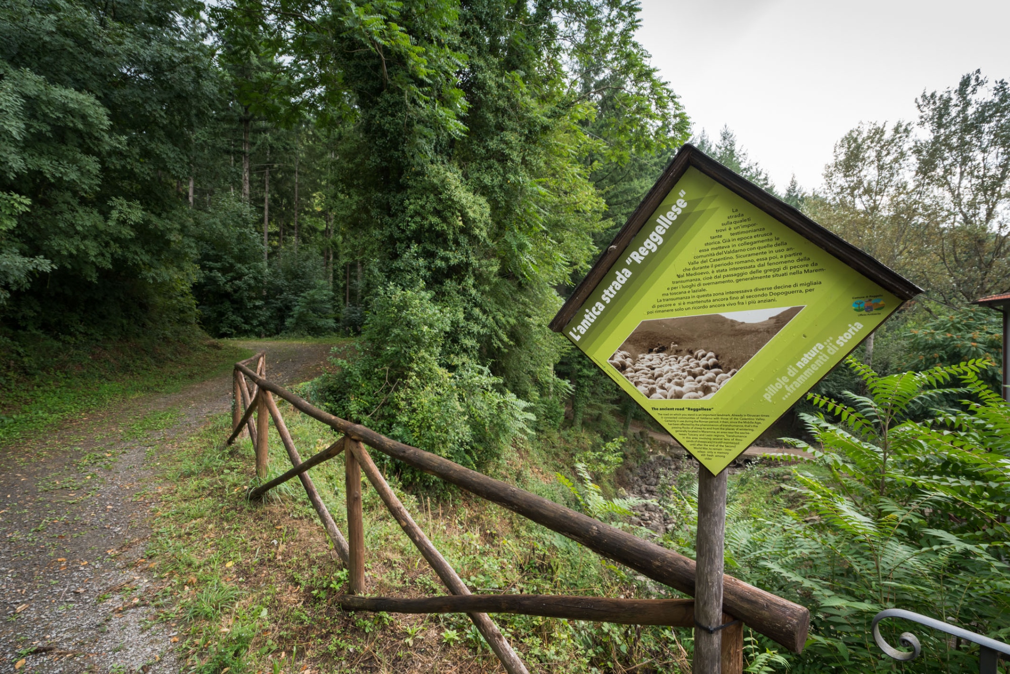 La Foresta di Sant'Antonio