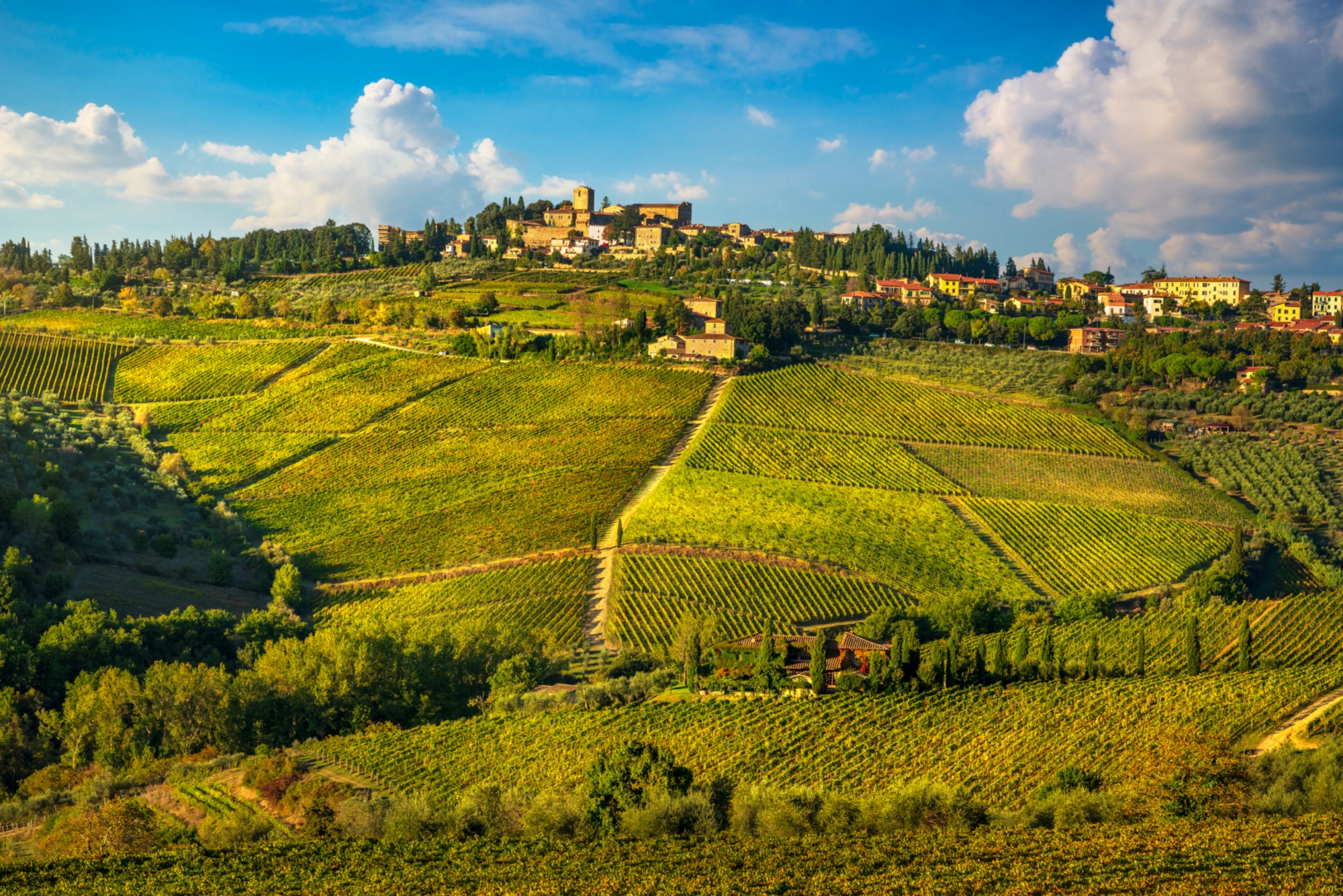 Paesaggio Chianti Classico
