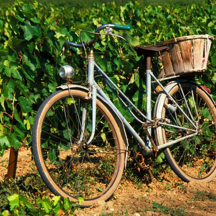 strada-del-vino-in-bicicletta