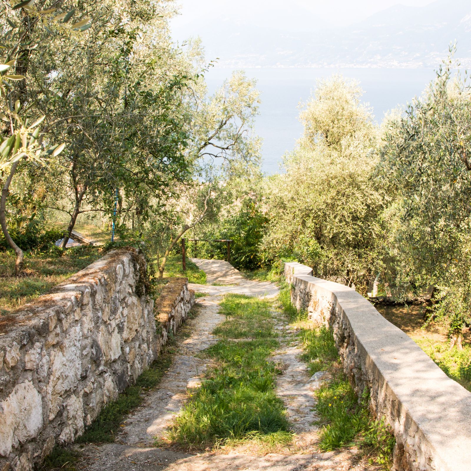 strada dell'olio in bicicletta