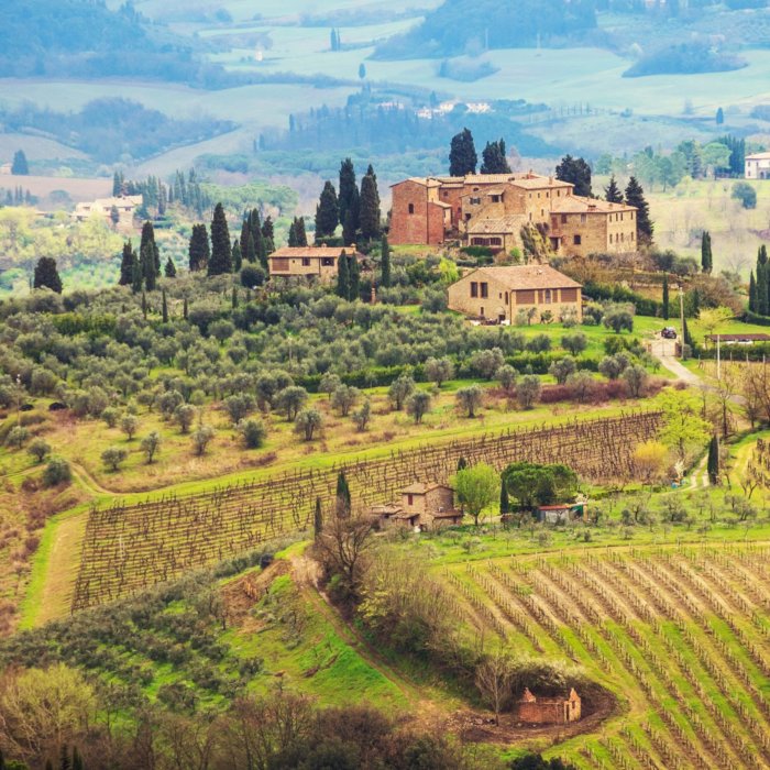 strada dell'olio in bicicletta