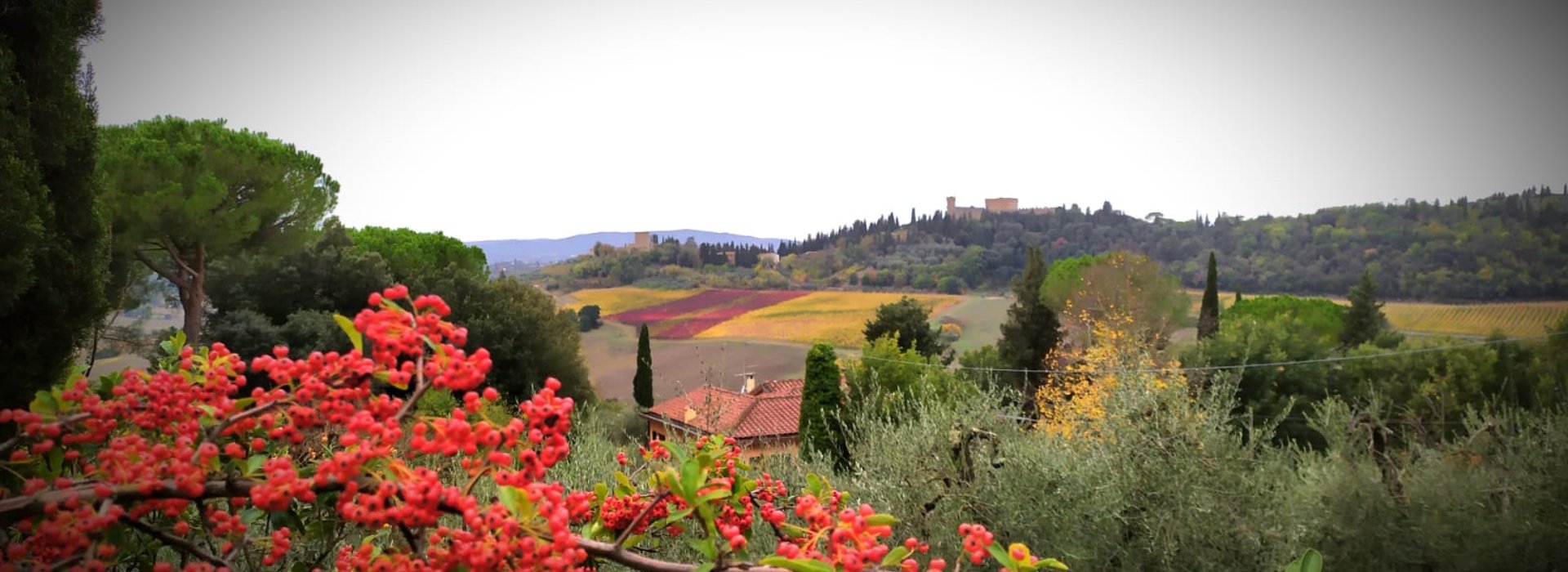 Camminata di 6 ore con guida ambientale escursionistica per visitare una parte inedita del Chianti Camminata di 6 ore con guida ambientale escursionistica per visitare una parte inedita del Chianti