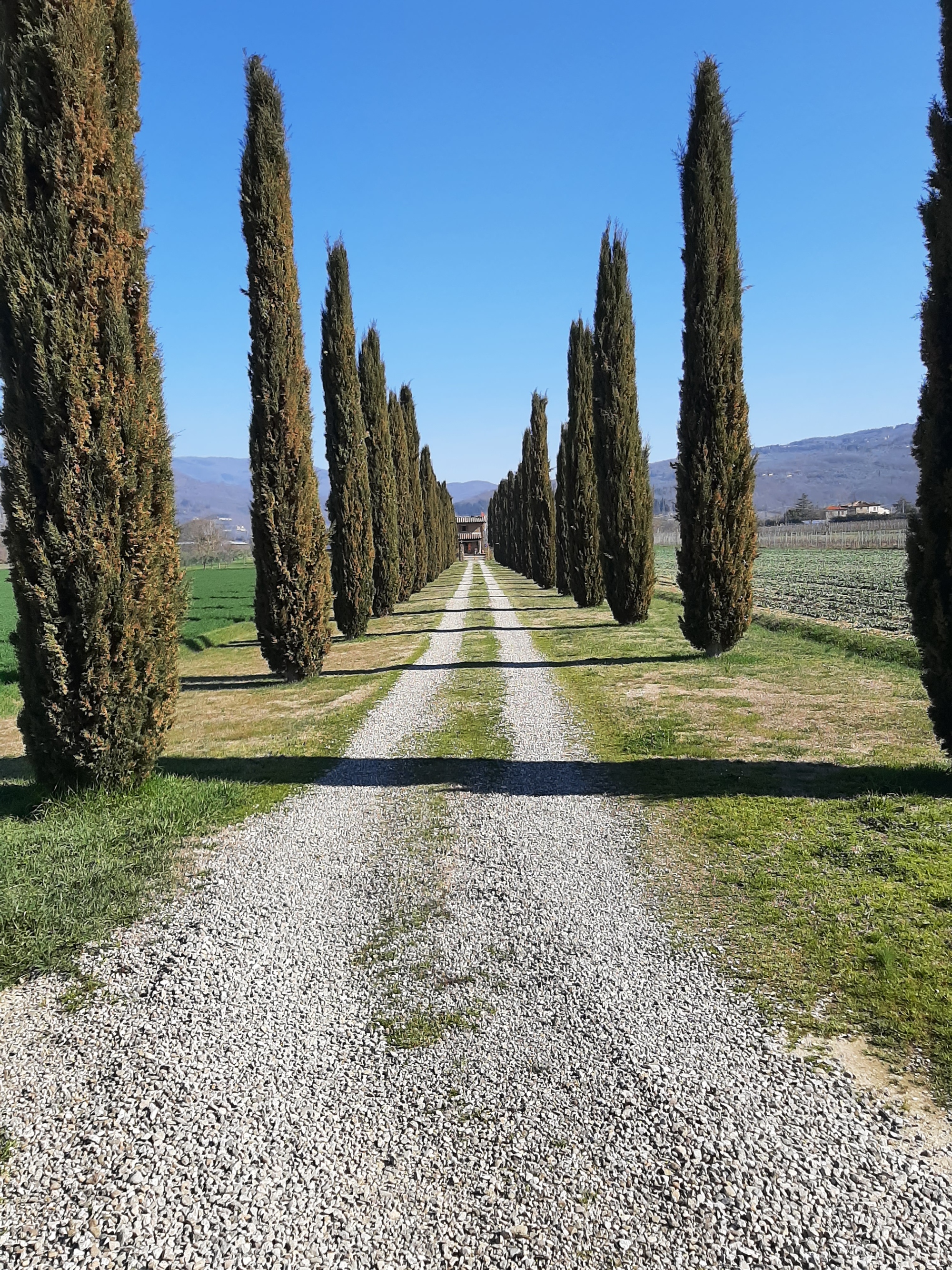 Explore a pie la Vía Romeo Germanica, desde La Verna hasta Castiglion del Lago