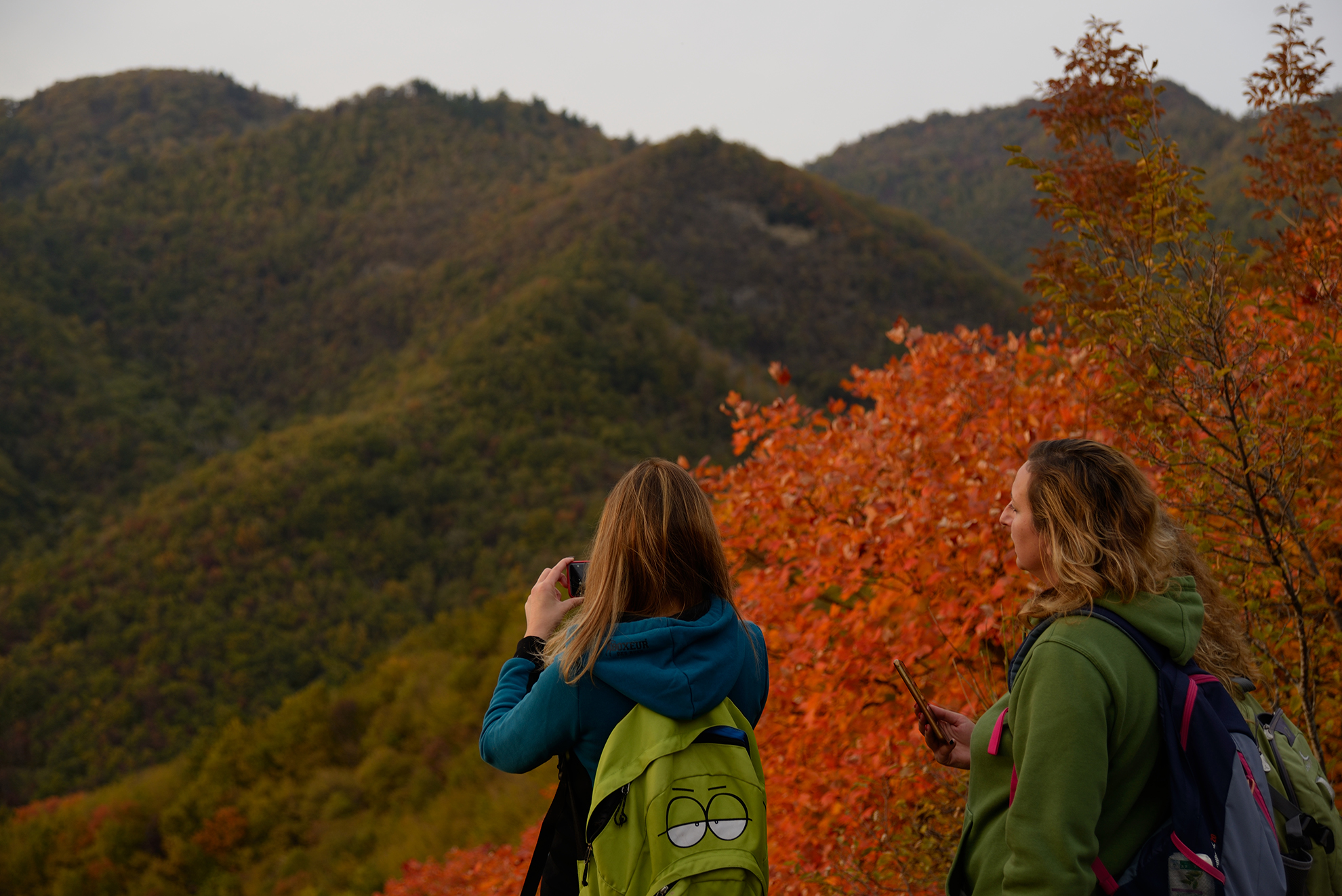 A trekking route at sunset immersed in the nature of the Tuscan Apennines