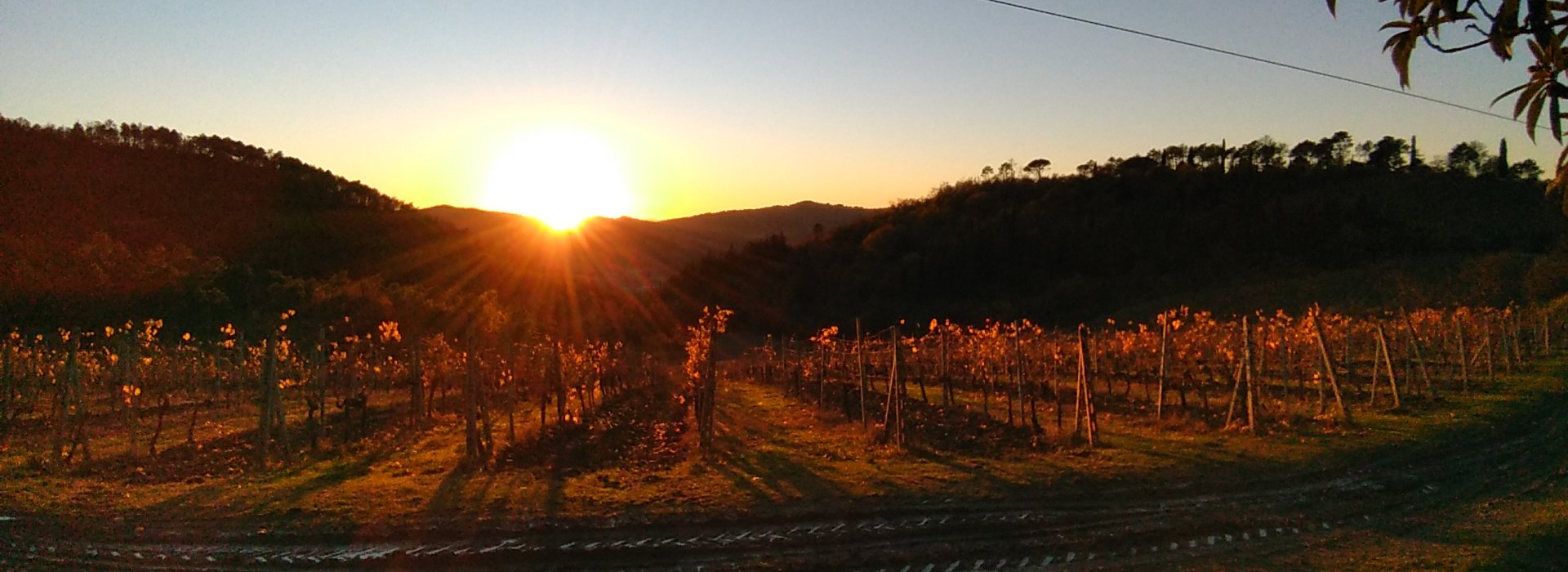 Sunset in Chianti