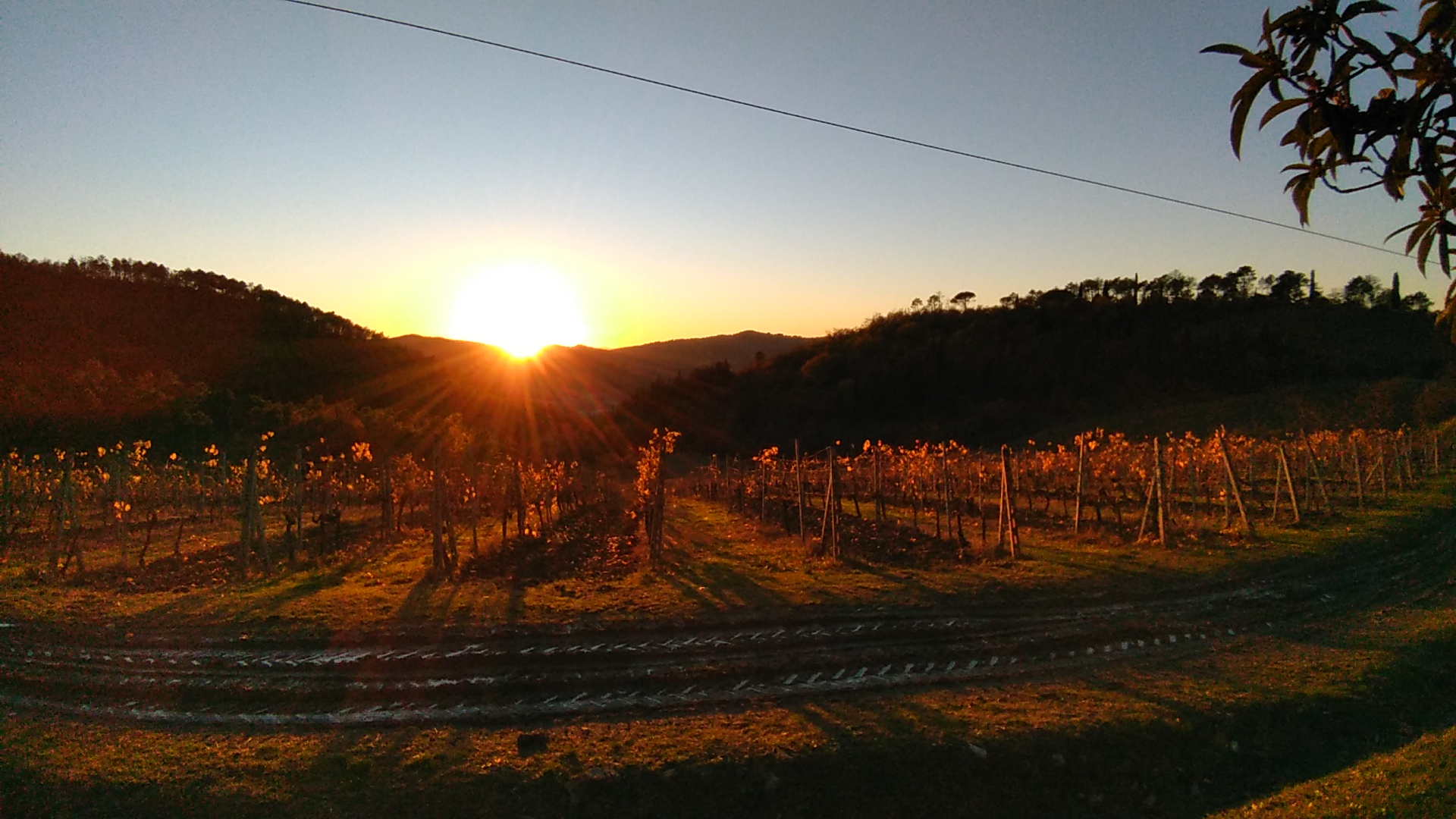Private Chianti tour at sunset (with tastings)