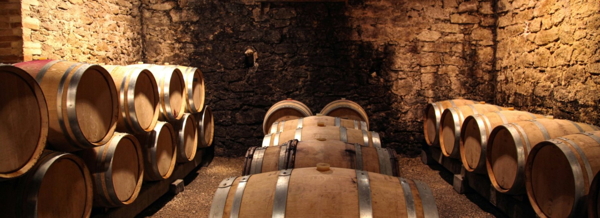 Visita alla cantina e degustazione a Pozzo della Chiana Visita alla cantina e degustazione a Pozzo della Chiana