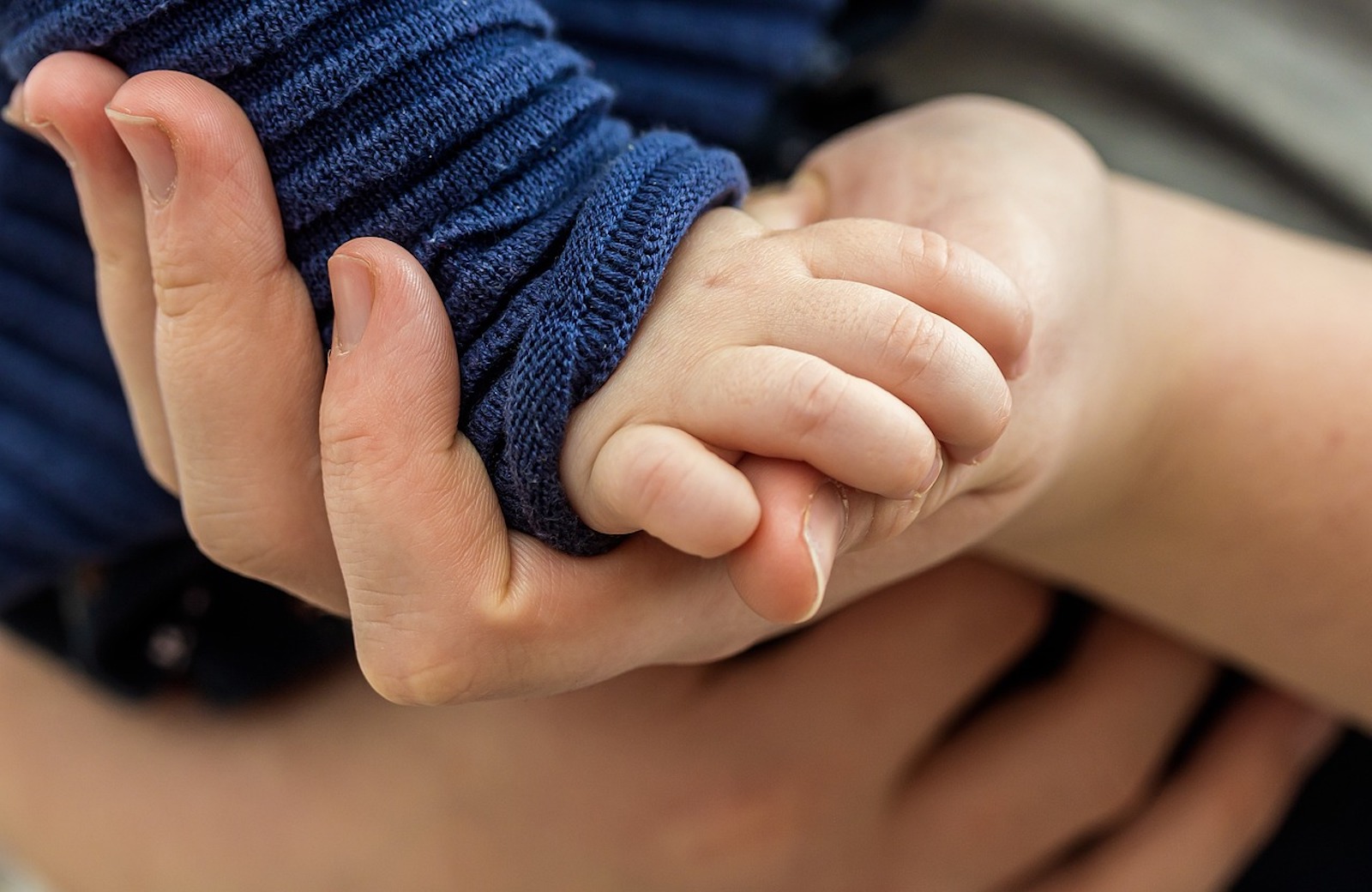 Mano di genitore e mano di bambino