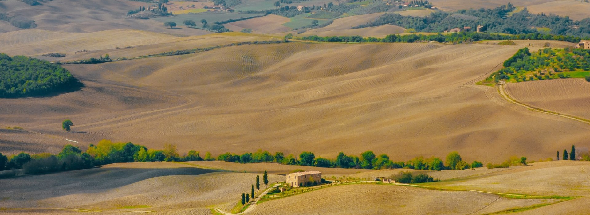 Visita guidata di Montepulciano e degustazione in cantina