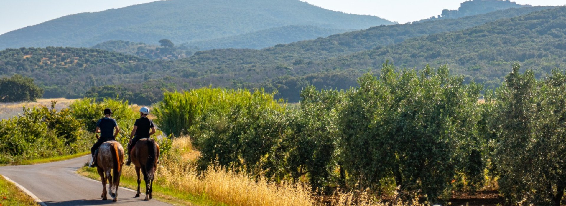 Horse riding in Val d'Orcia with tasting