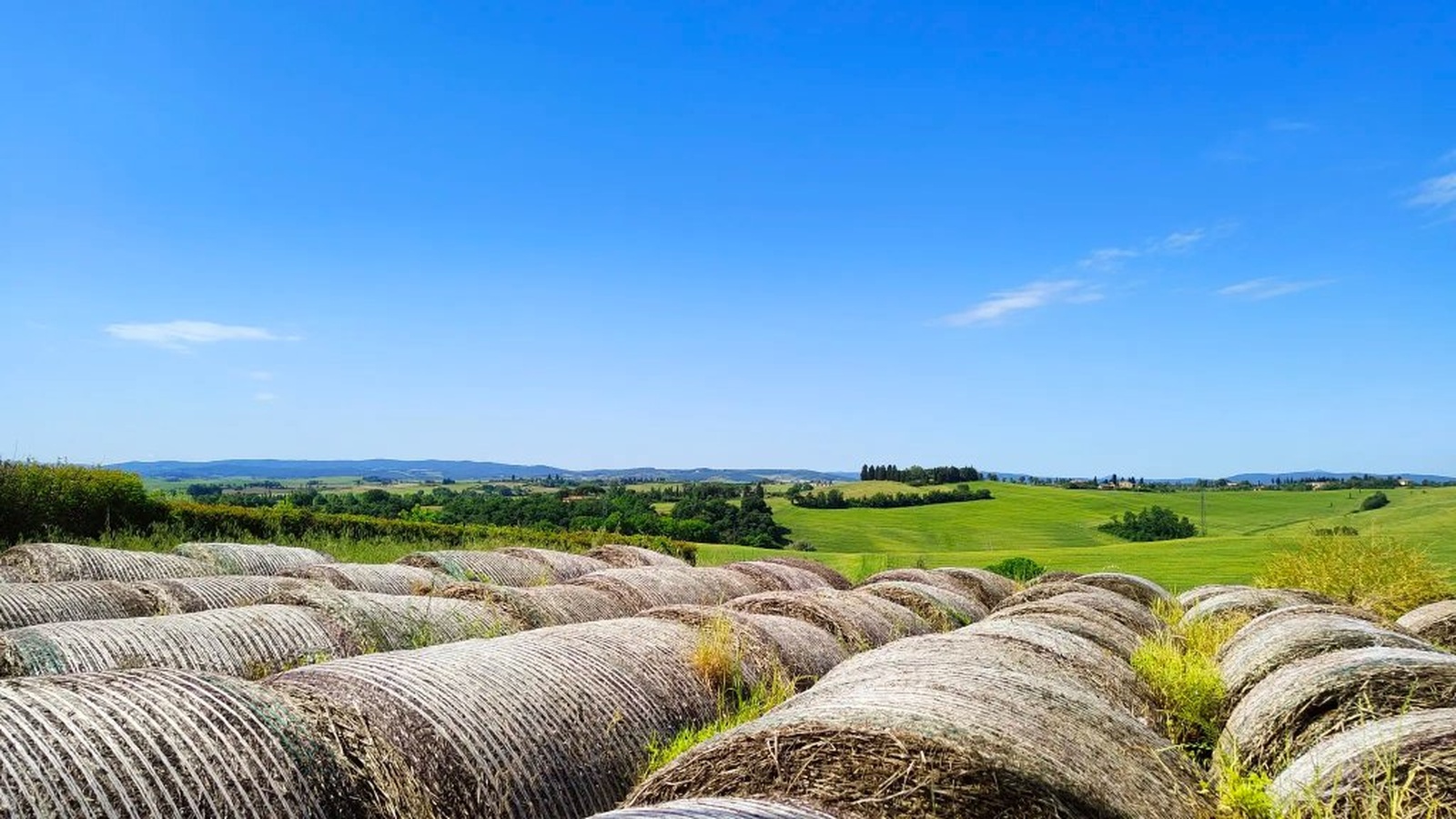 Siena countryside e-bike tour