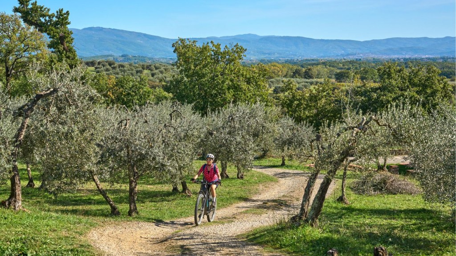 Siena countryside e-bike tour