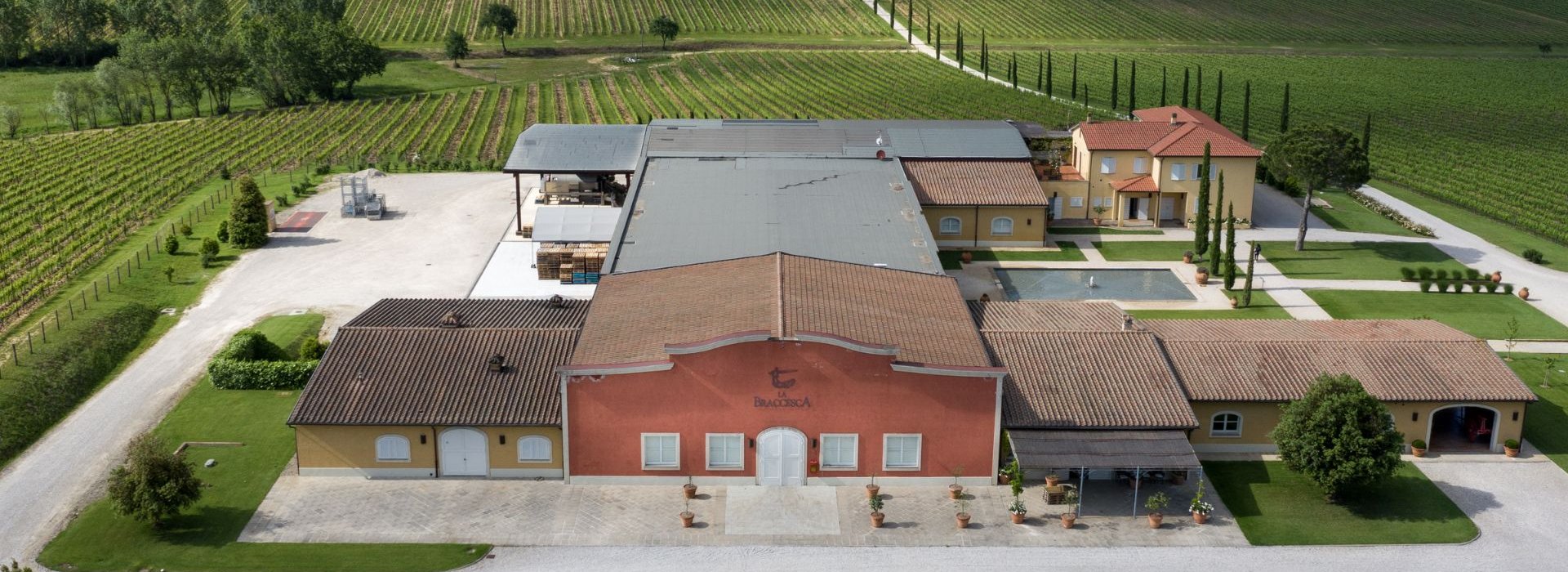 Una giornata alla scoperta del Syrah, una delle eccellenze vitivinicole della Toscana Una giornata alla scoperta del Syrah, una delle eccellenze vitivinicole della Toscana