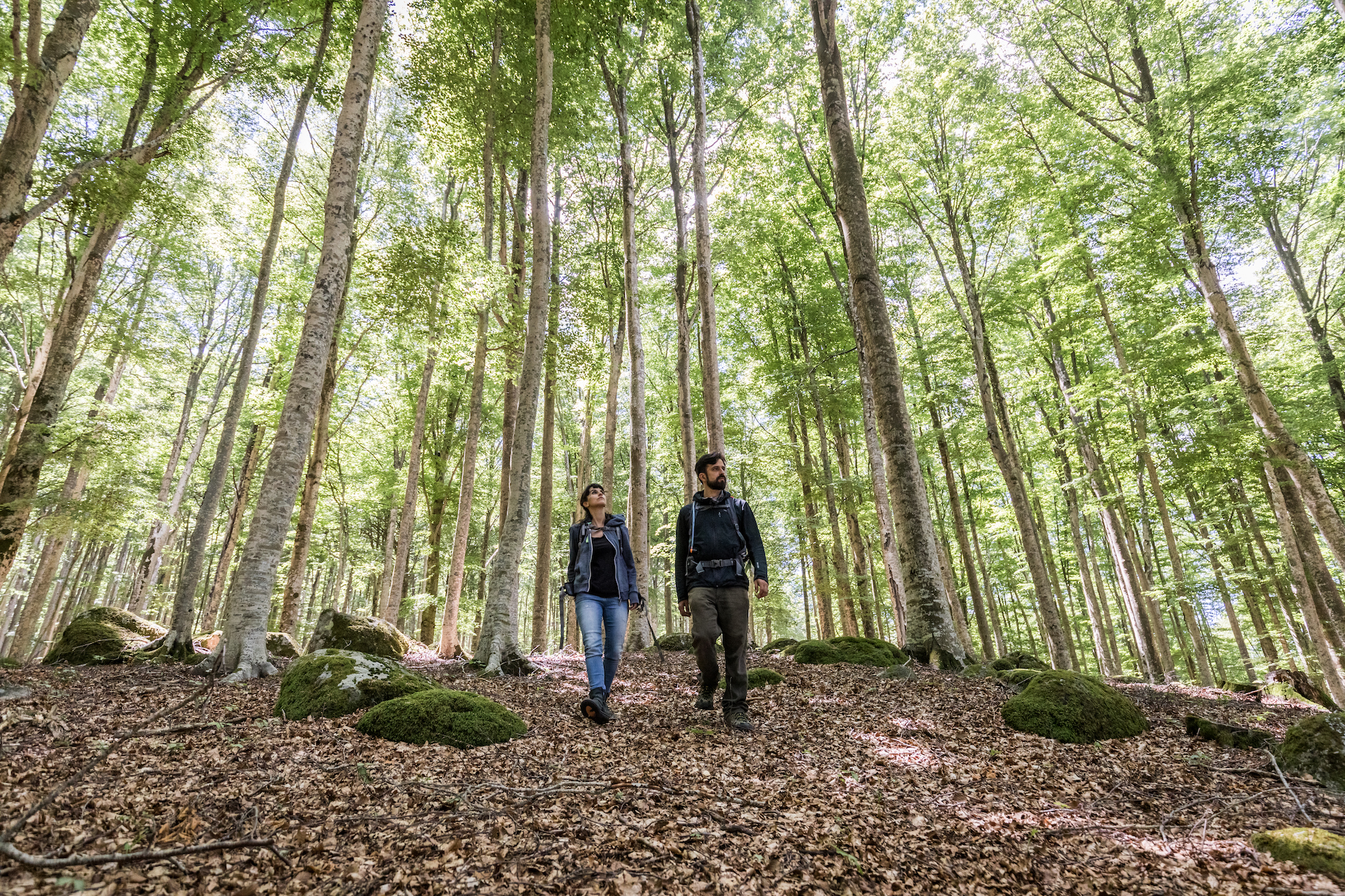 Due turisti con zaino in spalla impegnati nell'Amiata Gran Tour