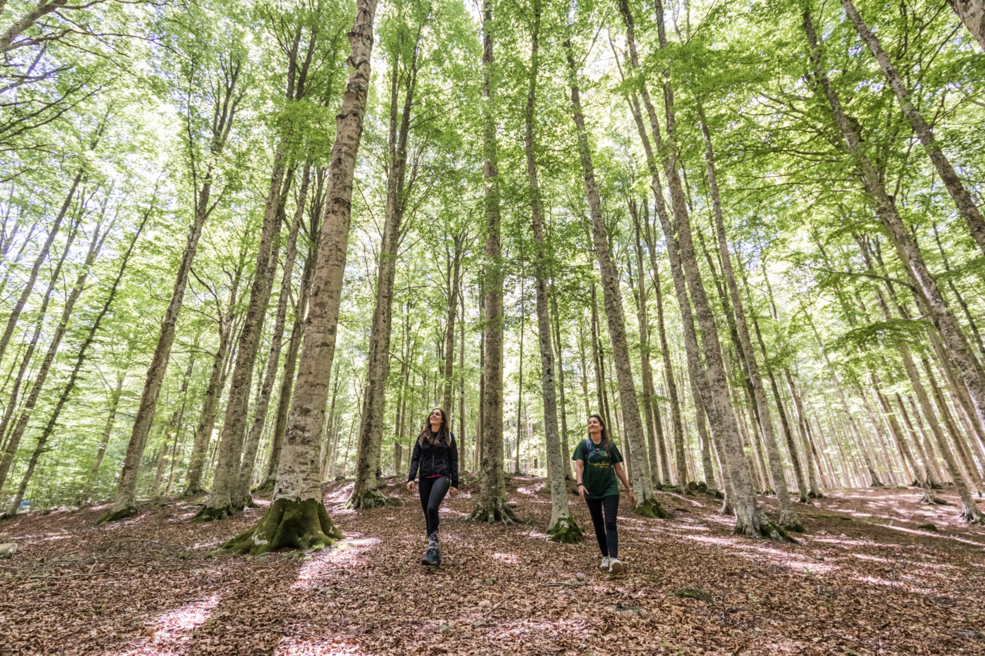 Trekking auf dem Monte Amiata