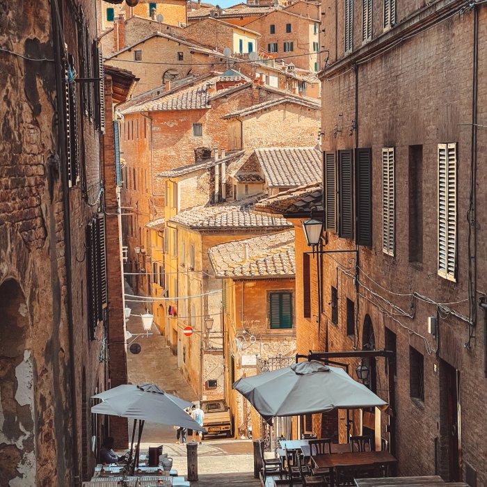 Una visita guiada para descubrir la historia de Siena y su patrimonio artístico y cultural