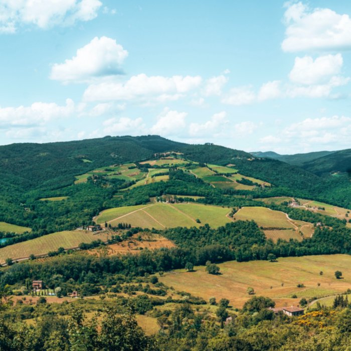 Tour del Chianti e dei suoi castelli