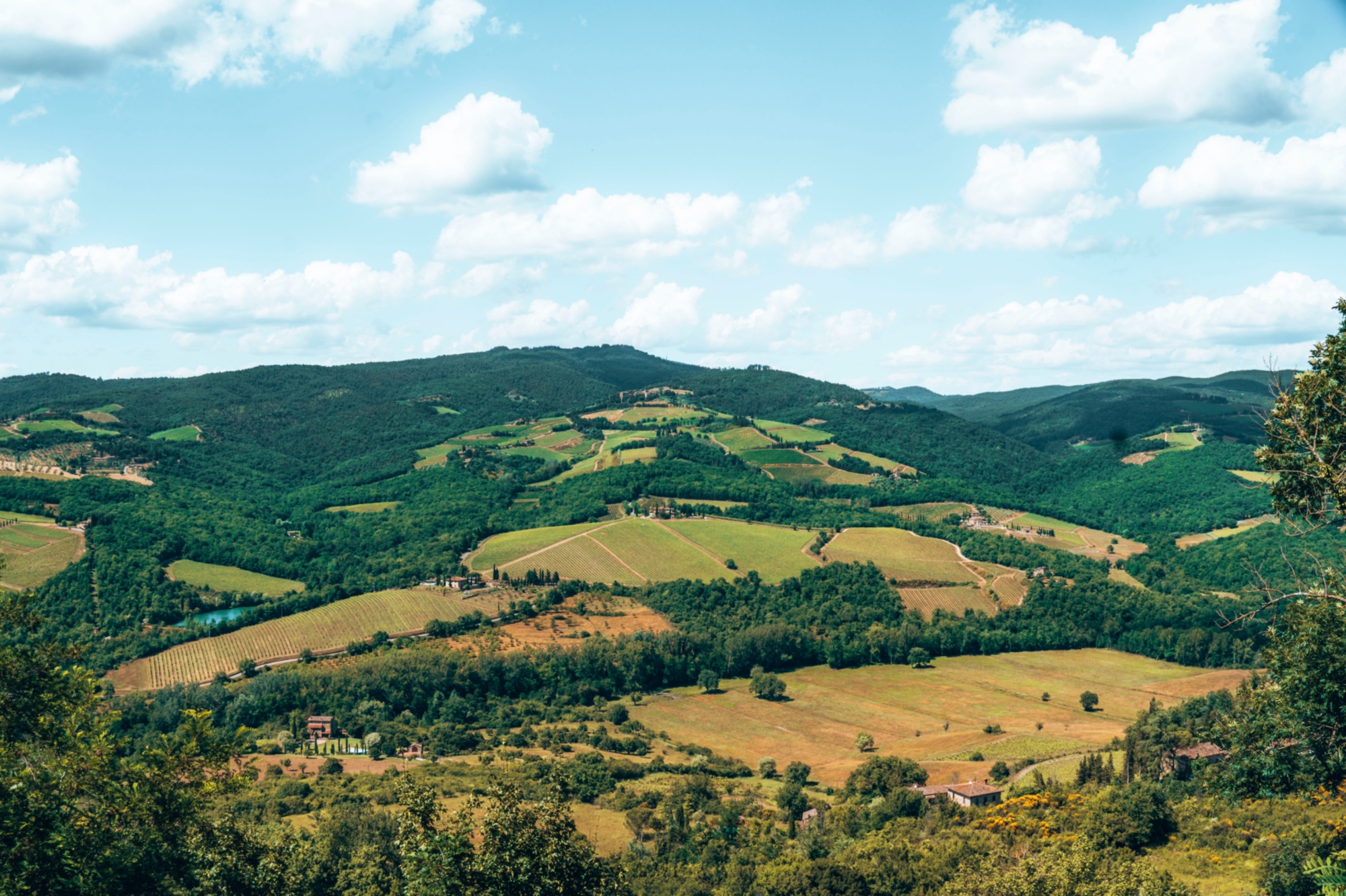 Chianti and Castle Tour