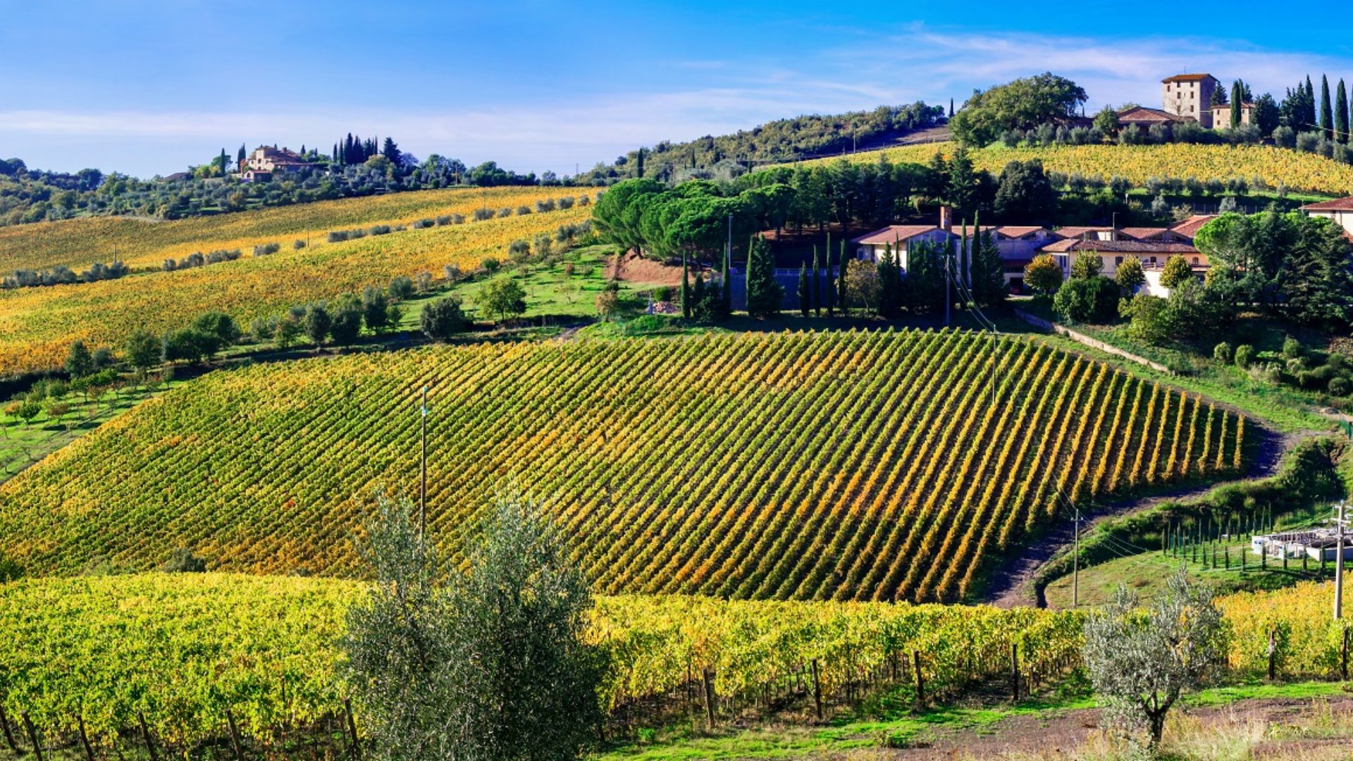 Un tour para descubrir el vino Brunello en uno de los maravillosos destinos toscanos