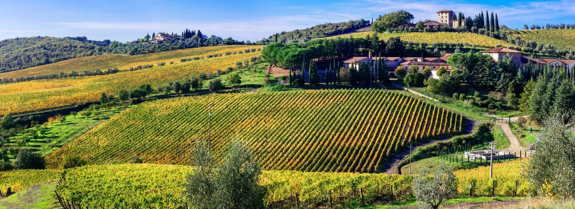 Un tour di una mattinata alla scoperta del Brunello in una delle meravigliose destinazioni toscane