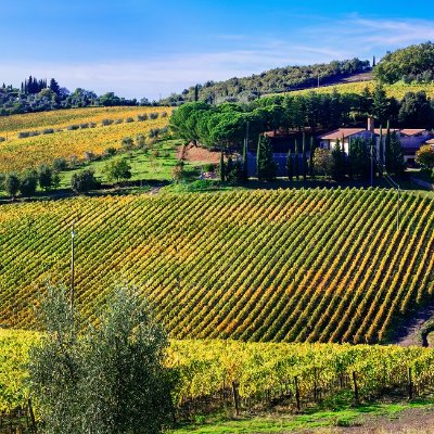 Un tour para descubrir el vino Brunello en uno de los maravillosos destinos toscanos