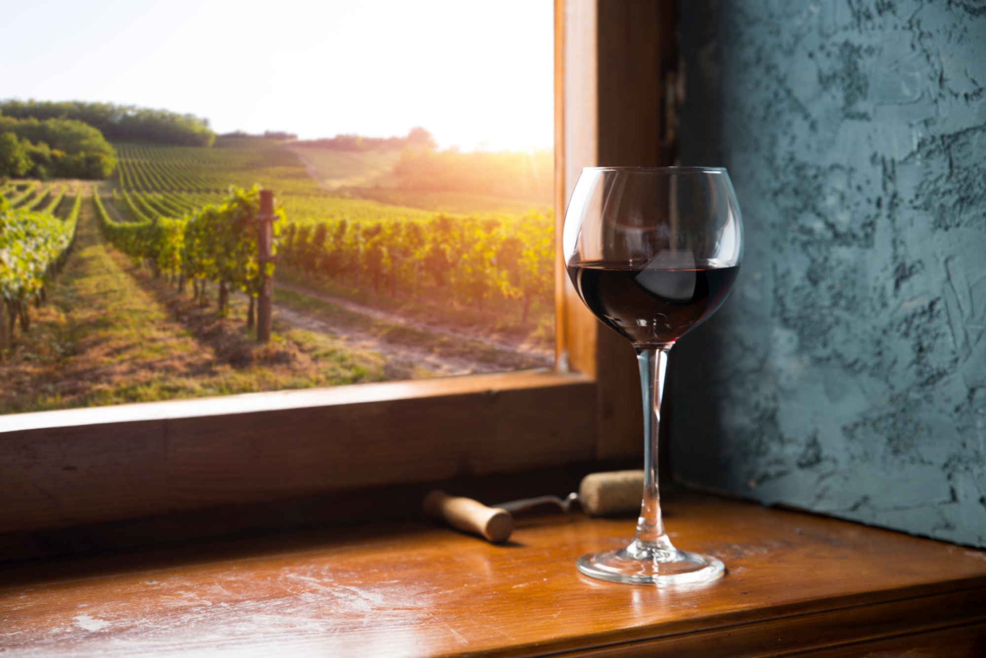 Safari gourmet in Toscana: tour privato nel Chianti
