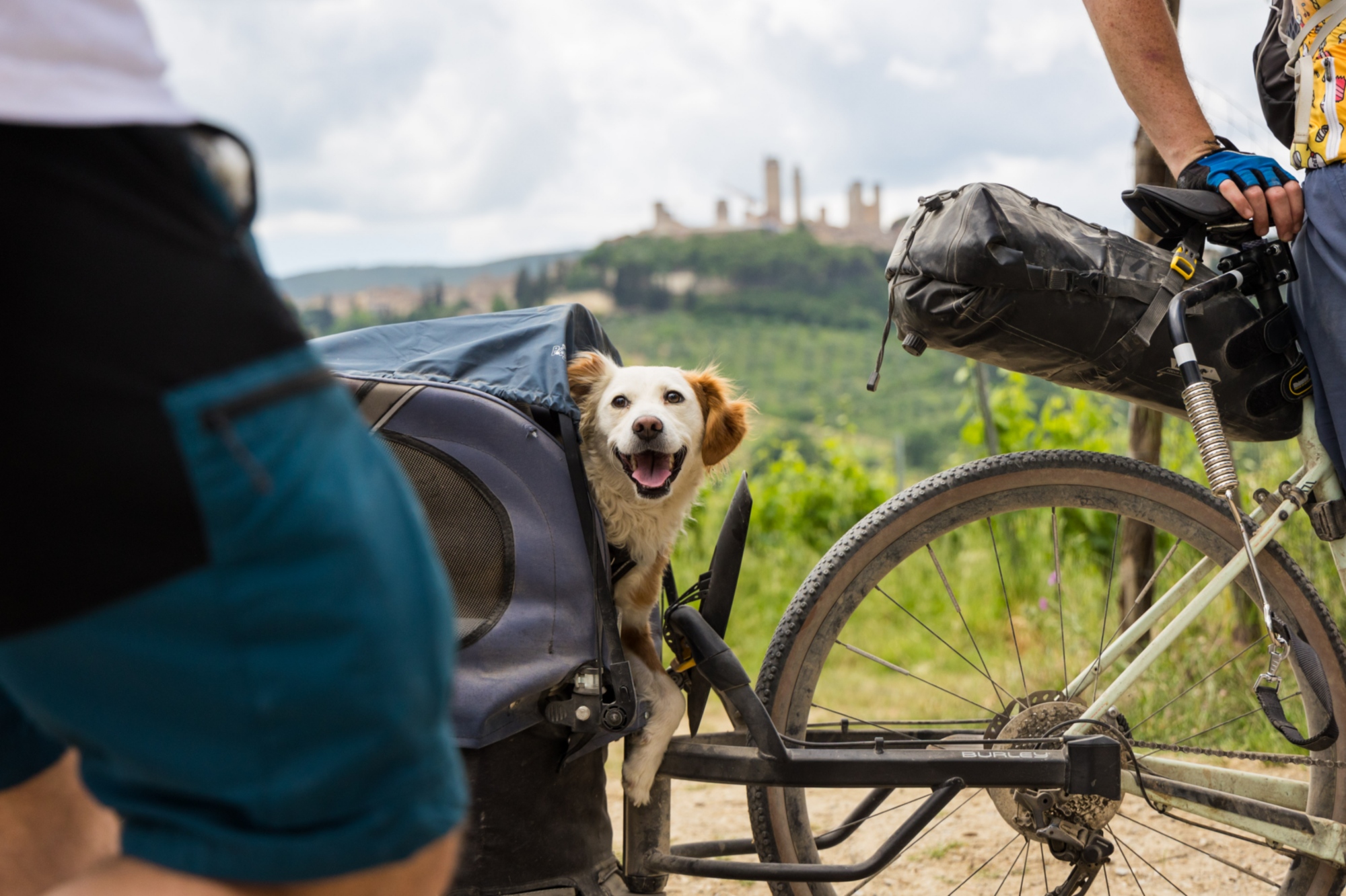 In bici con il proprio cane nei dintorni di Monteriggioni