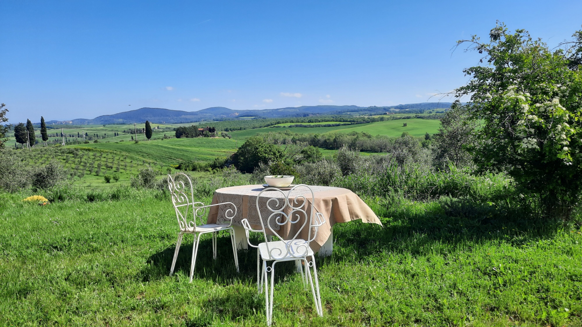 Passeggiata ludico emozionale fra gli ulivi della Val d'Orcia