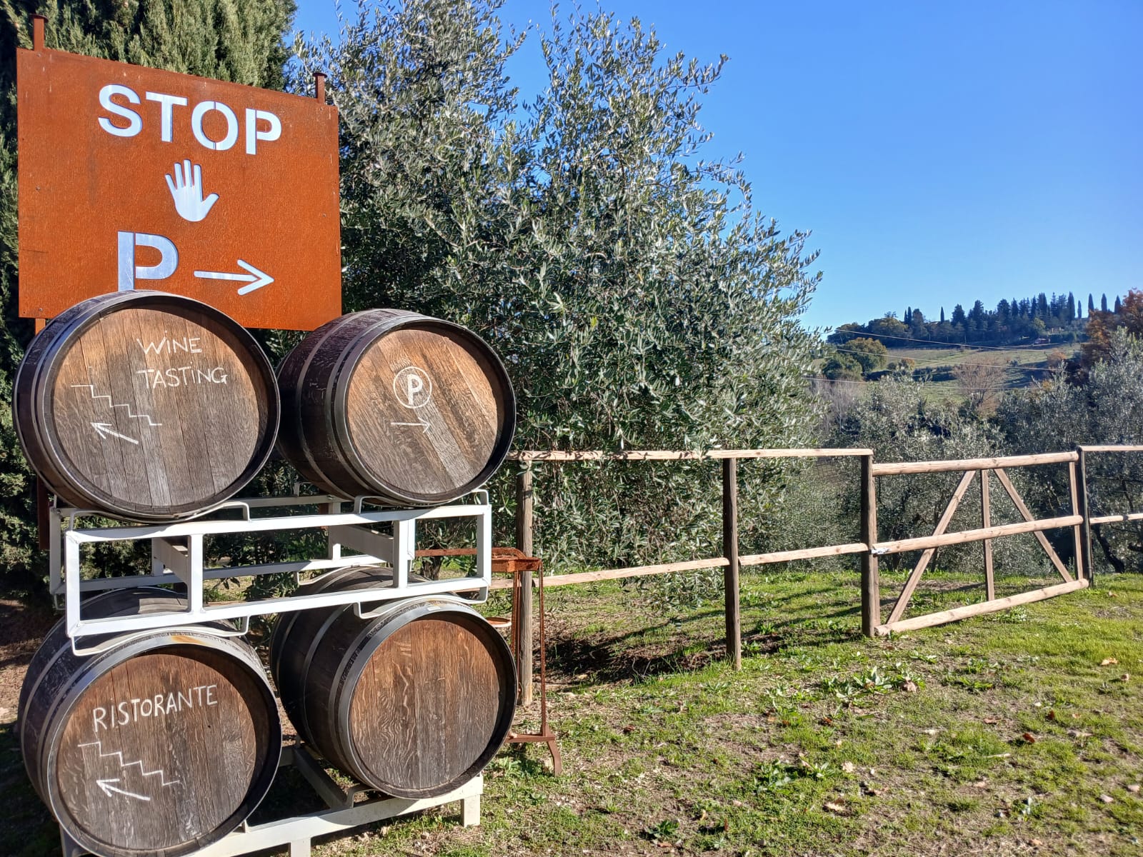 San Gimignano: guided winery tour and picnic under the olive trees