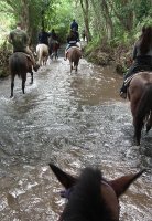 Passeggiata a cavallo nel Chianti