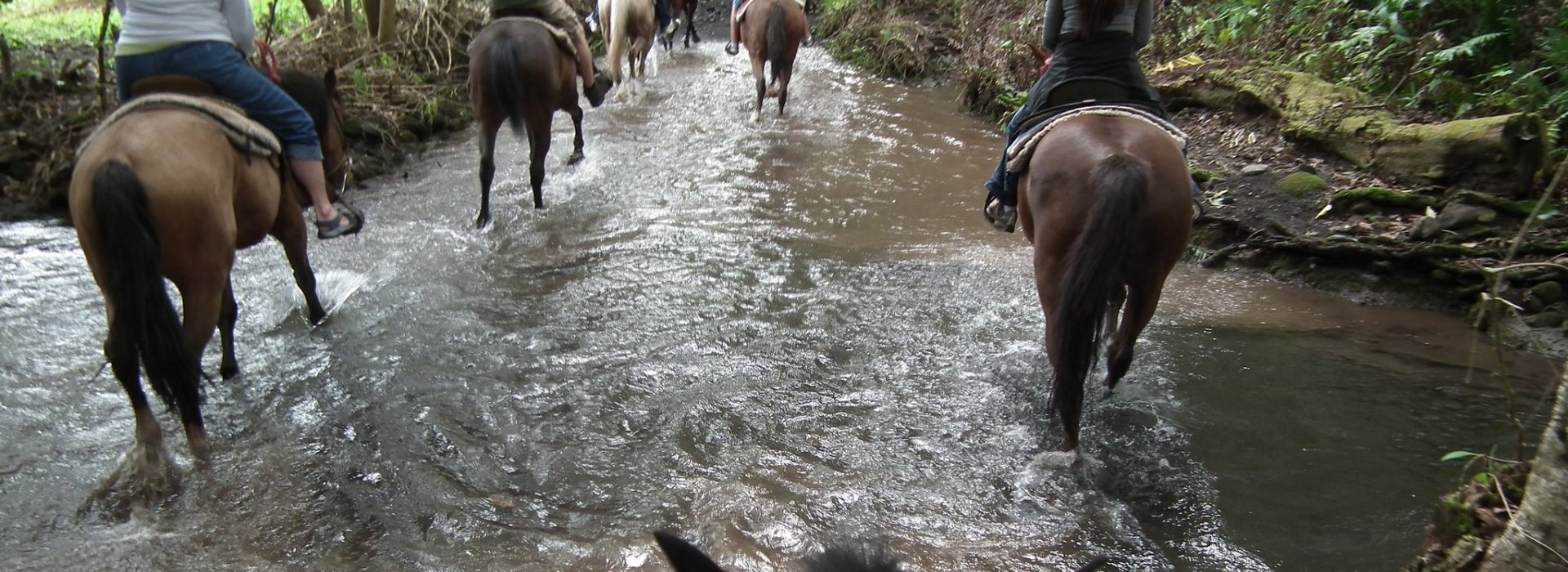 Horseback Riding in Chianti