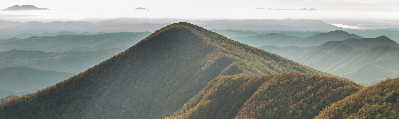 Parco Storico della Linea Gotica di Badia Tedalda