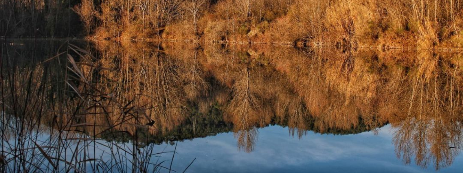 Die Golena del Tevere