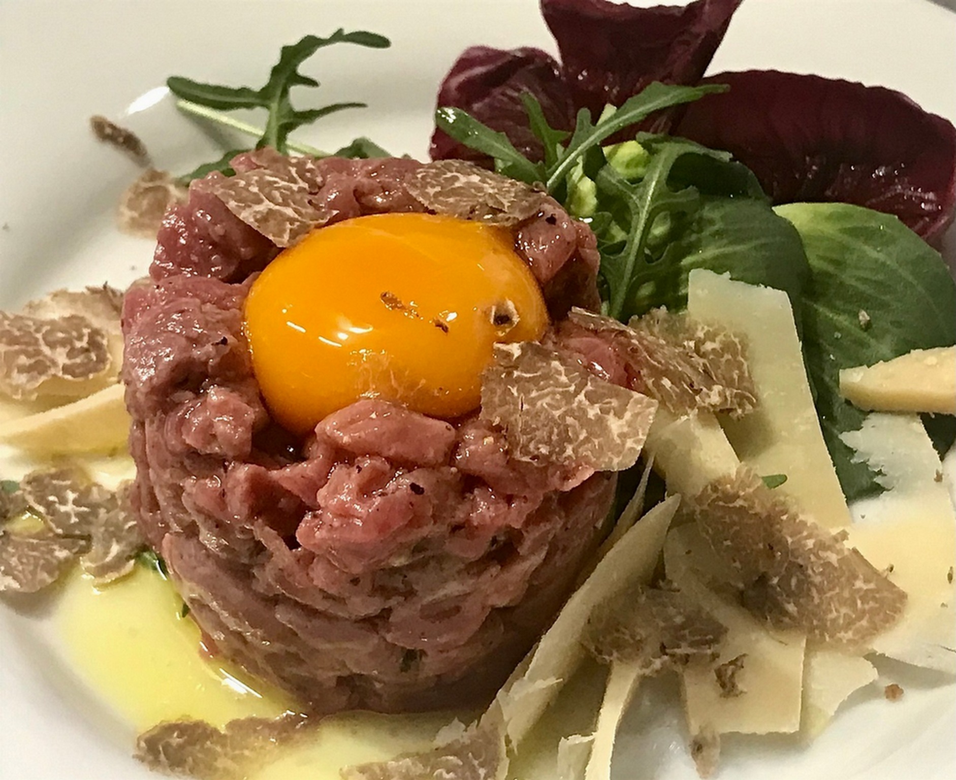 Esperienza di ricerca del tartufo a Fattoria del Cerro, sulle colline di Montepulciano