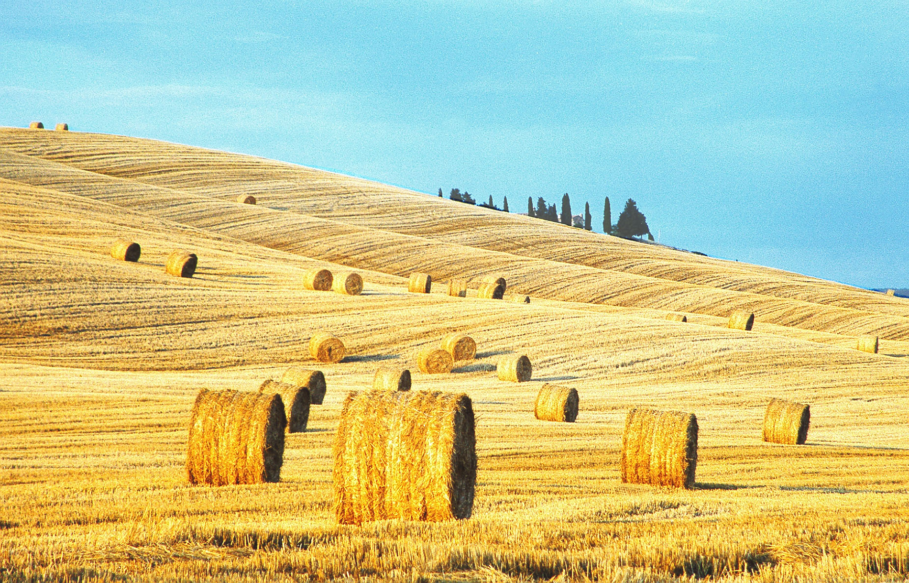 Un paesaggio estivo e l