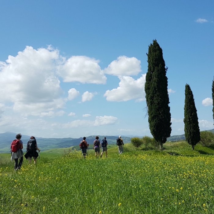 Quattro giorni di trekking in Val d'Orcia Quattro giorni di trekking in Val d'Orcia