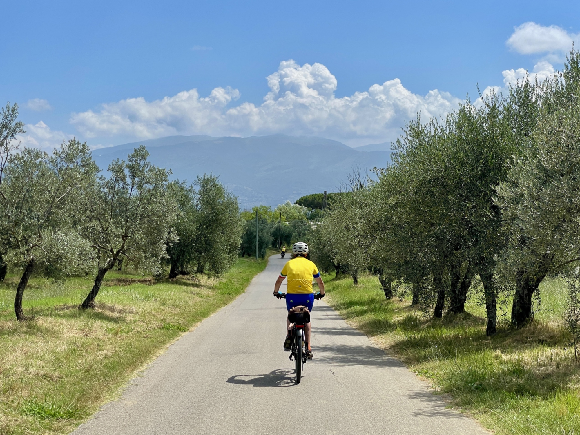 La campagna di Reggello