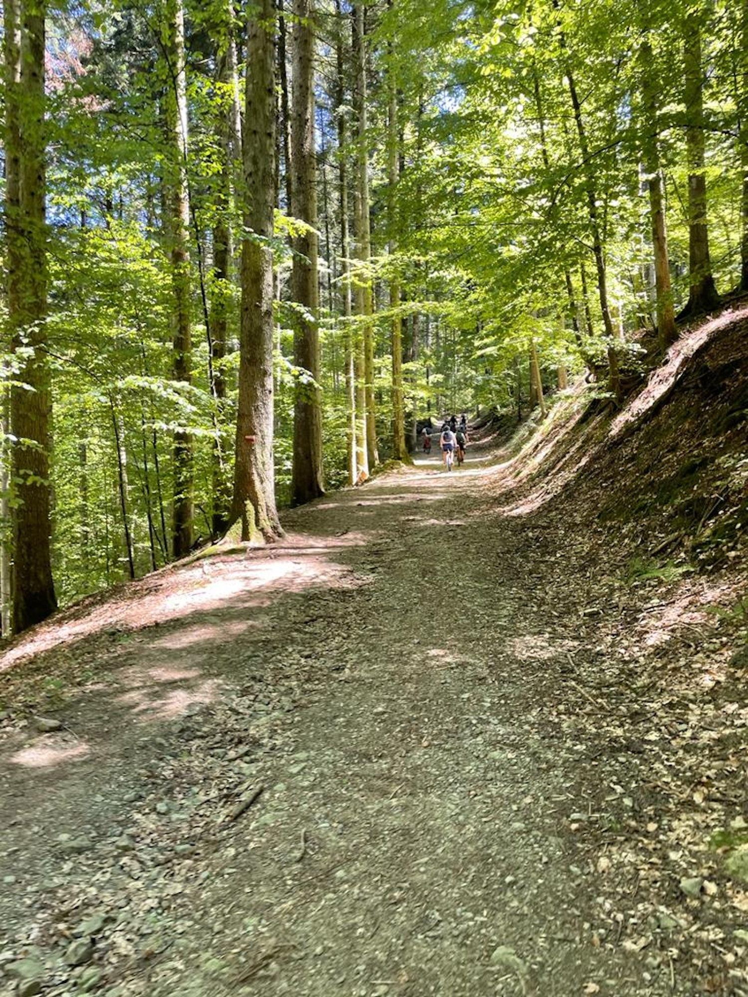 Vallombrosa