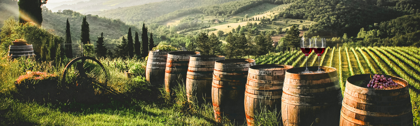 Immagine di botti in una vigna al tramonto