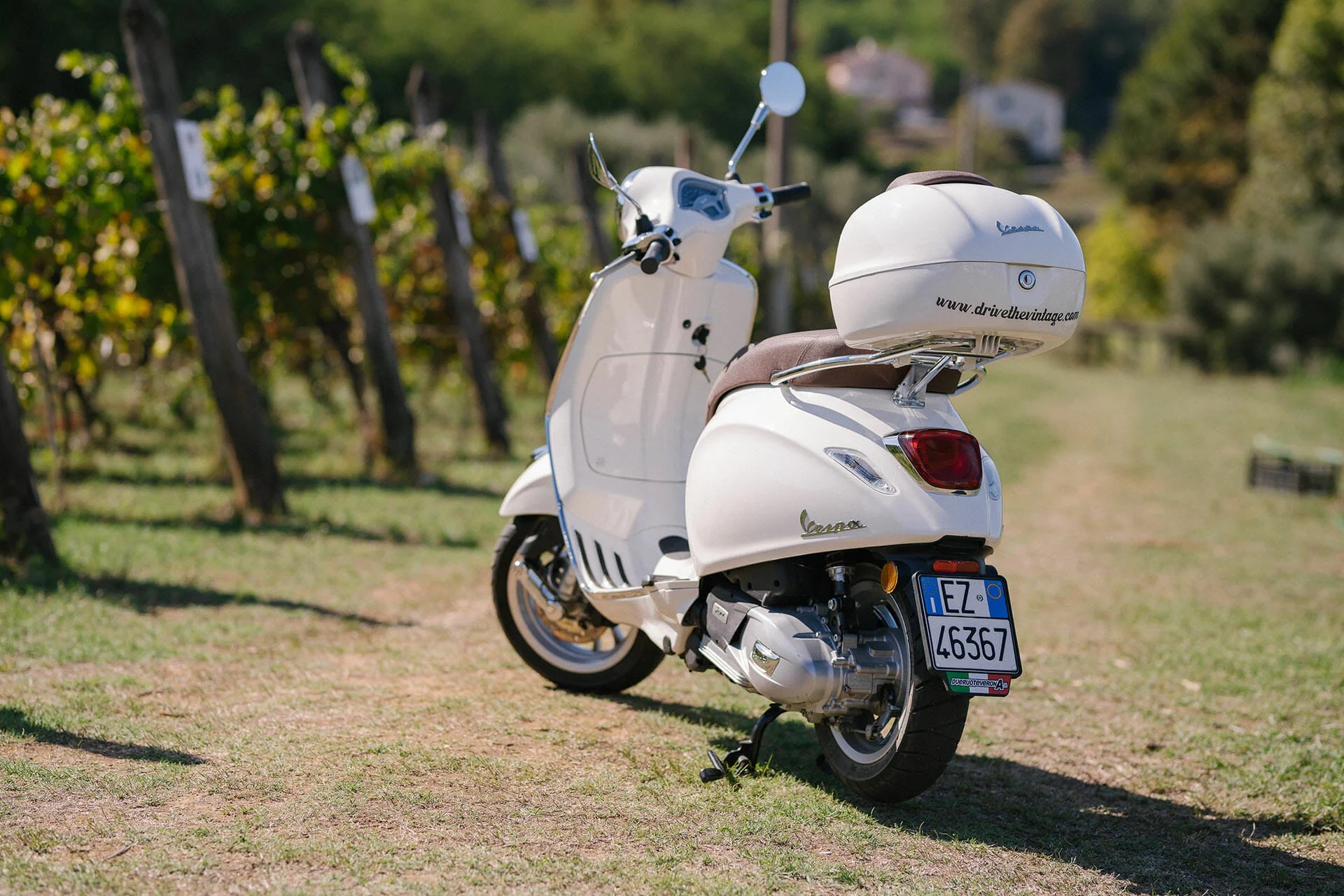 Vespa picnic experience