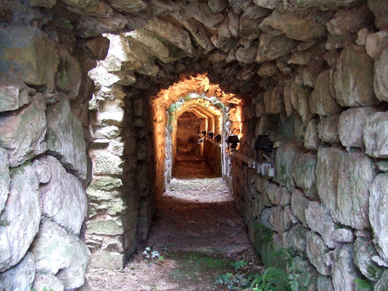 Immagine della galleria nella roccia presso il Parco di Vetulonia