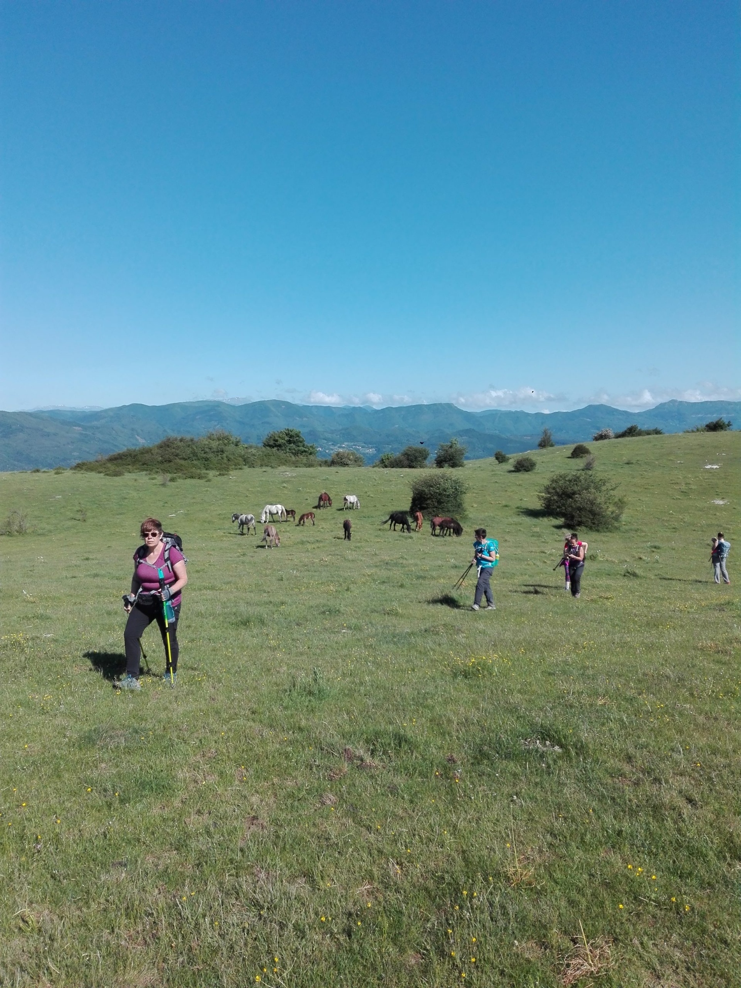 trekking 
