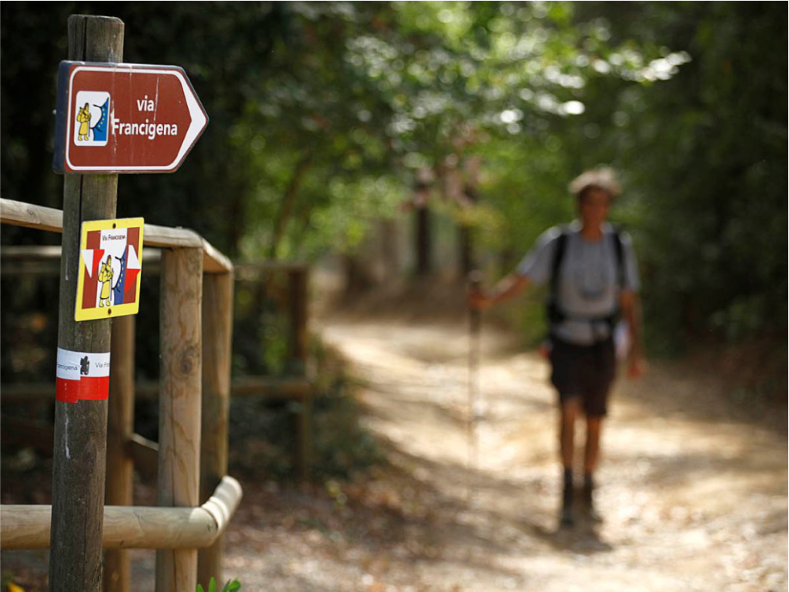 La Via Francigena, da Siena ad Acquapendente
