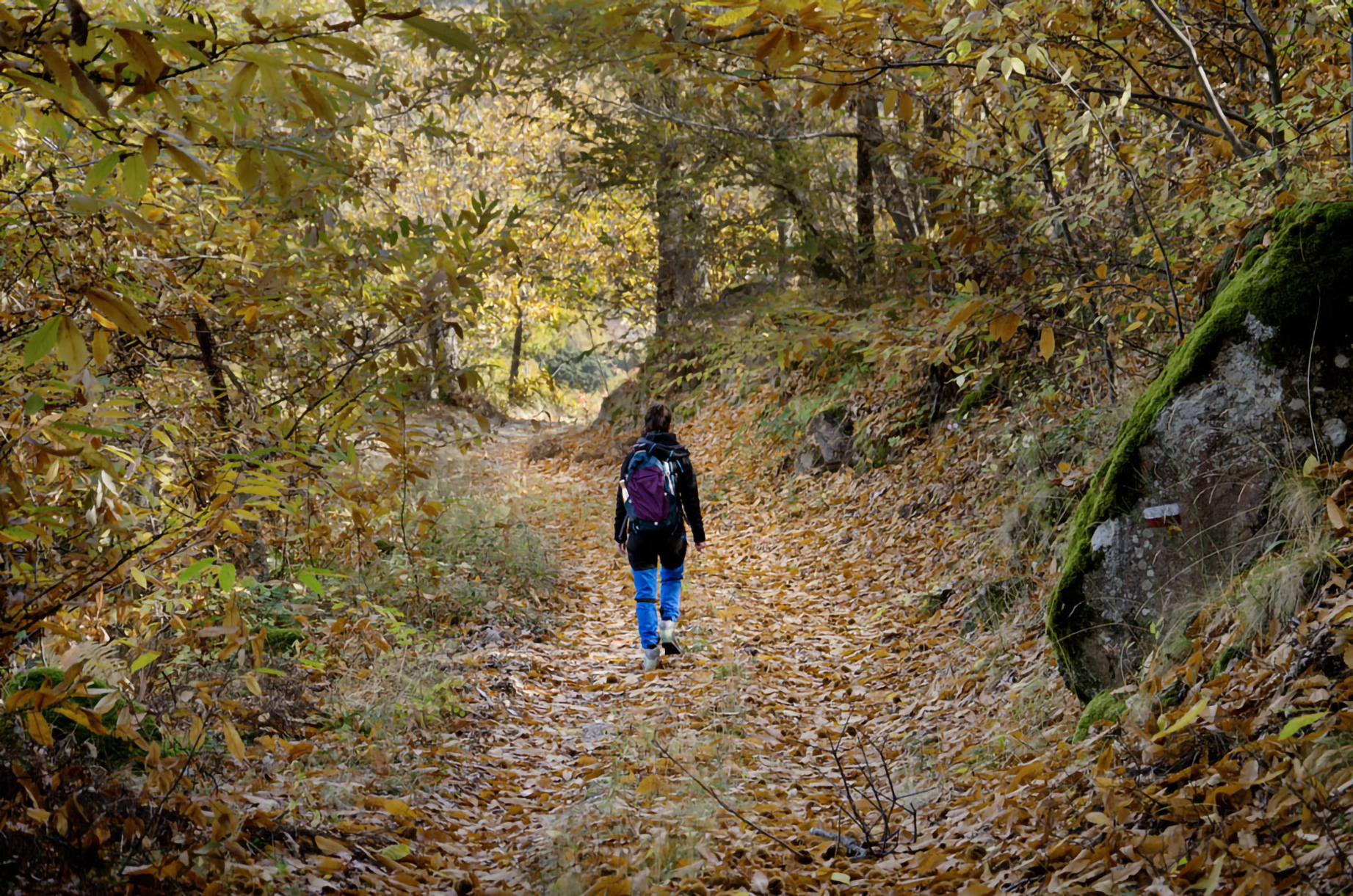 Autunno sul Monte Amiata