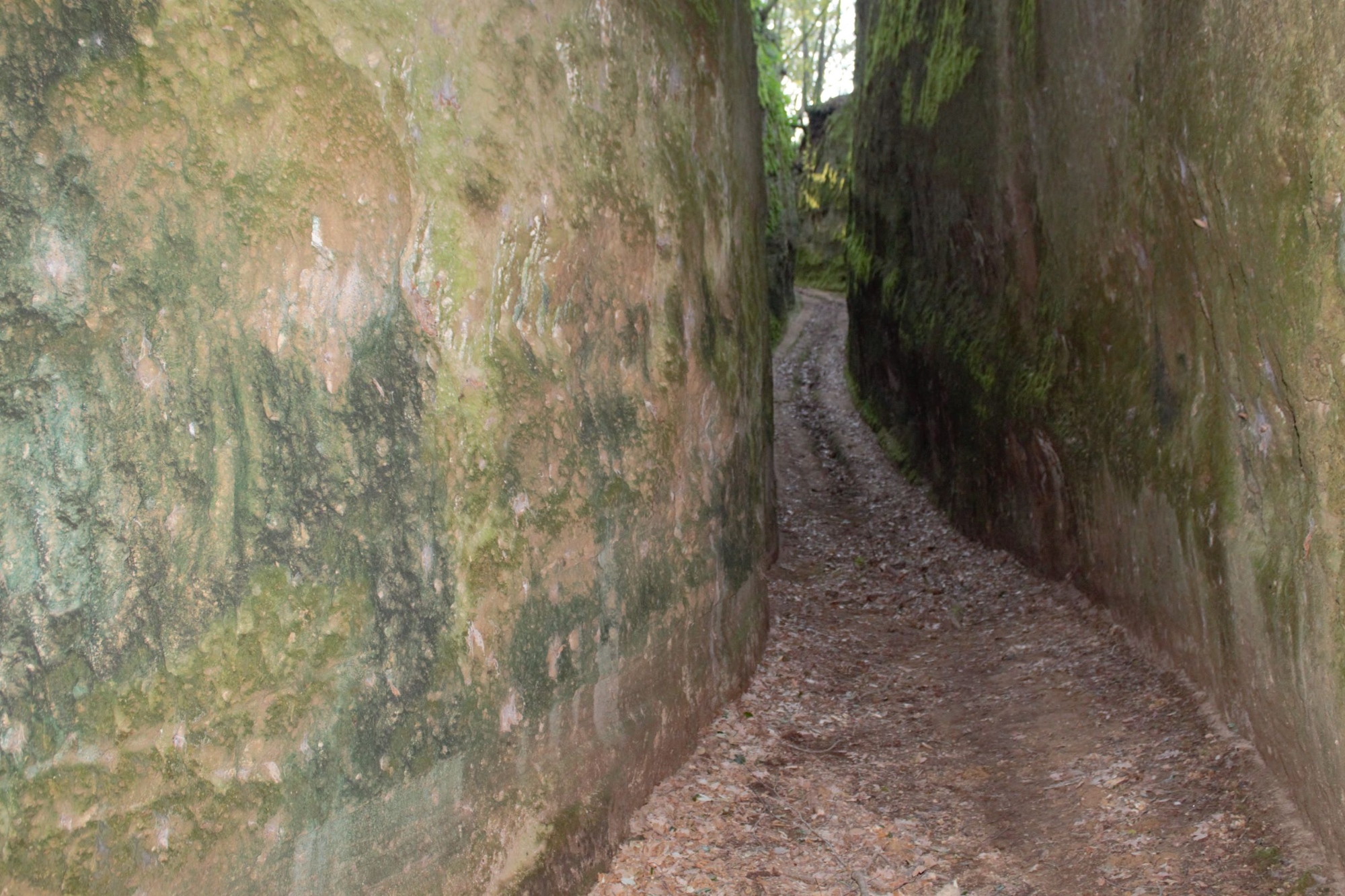 Escursione tra le vie cave a Pitigliano